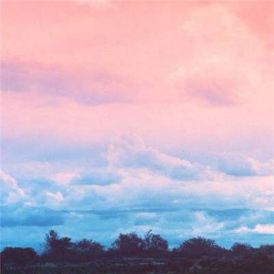 开云网kaiyun截图