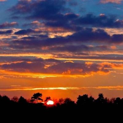 ManBetX客户端登录手机app下载